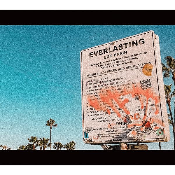 egg brain CDセット EGG BRAIN 3枚組CDセット＋オマケ（缶バッジ2個） - メルカリ